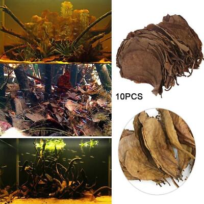 #ad 100Pcs Natural Catappa Leaves Almond Leaf Fish Cleaning Treatment Aquarium Tank $89.59