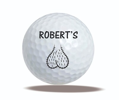 Funny Personalized Golf Balls Ball Sack Gift Custom Gift for Golfer $14.99
