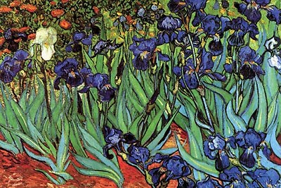 #ad Irises by Vincent van Gogh Art Print $21.99