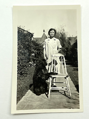 #ad ID Photograph Woman Poses With Chair Dog Doing Trick 1920 30#x27;s Irish Setter $14.96