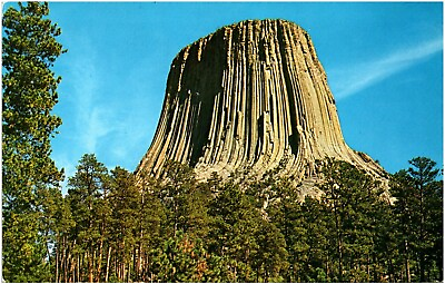 #ad Devils Tower National Monument Bear Lodge Butte Wyoming WY 1960s Chrome Postcard $4.99