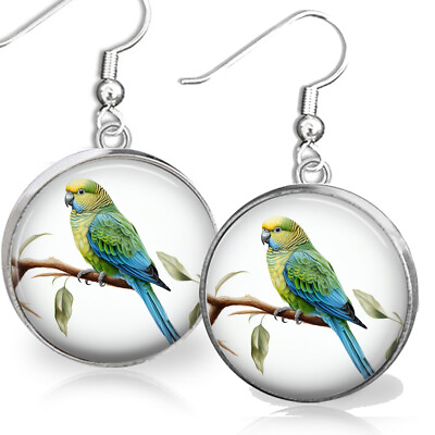#ad Green amp; Blue Pet Parakeet Budgie Bird Lover Gift Dangle Sterling Silver Earrings $12.95