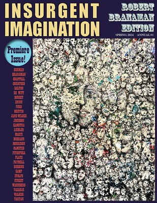 #ad INSURGENT IMAGINATION: hardbound literary arts anthology poetry Bob Branaman $39.99