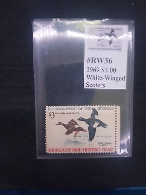 #ad RW 36 $3 White Winged Scoters Duck Stamp Mint DG $25.00