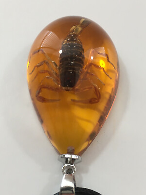 Real Scorpion Necklace in Replica Amber $11.99