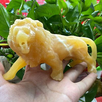 #ad 1pc Natural Crystal yellow calcite hand carved lion skull Healing Gift Decor $136.50