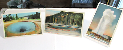 #ad 3 1915 1930 YELLOWSTONE NATIONAL PARK Wyoming Haynes Co. Postcards Wy. $4.00