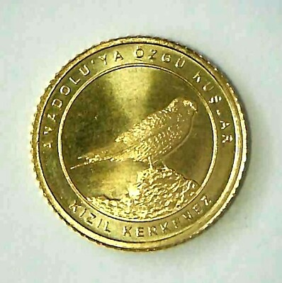 #ad 2021 Turkey Coin 1 kurus Kestrel Bird Wildlife $2.54