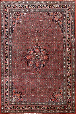 #ad Vegetable Dye Antique Bidjar Area Rug 9x12 Hand knotted Rust Carpet $4899.00