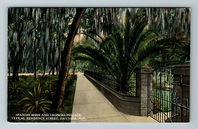 Daytona FL Florida Spanish Moss And Tropical Foliage Path Vintage Postcard $7.49