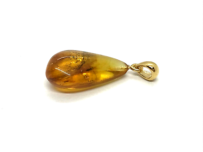#ad Baltic Amber Pendant 2 Insects Gift Fossil Inclusion Silver 925 Gold 19g 2288 $24.94