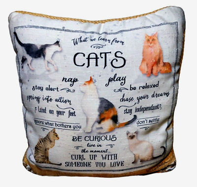 #ad Cats Pillow Pets Throw What We Learn Kitty Animal Plush Gift Multi Color Square $17.89