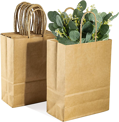#ad Small Kraft Bags with Handles 12 Pcs Kraft Gift Paper Bags Brown Kraft Bag Small $11.61