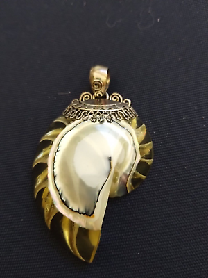 #ad Vintage Transparent Nautilus Shell 925 Sterling Silver pendant Handmade Jewelry $35.97