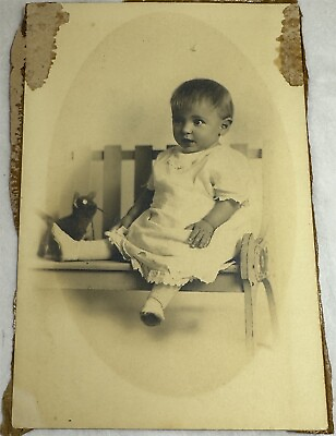 #ad Antique Photo Baby Portrait Sits on Bench w Toy Cat 6x4 $5.95