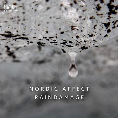 #ad Hansson Sigurosson Vilmarsson Nordic Affect Raindamage New CD $20.24