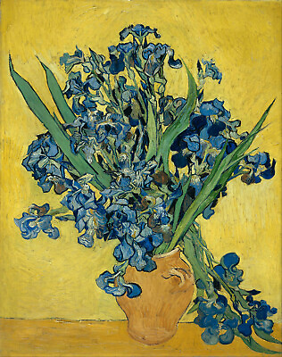 #ad Irises later by Vincent Van Gogh Giclee Canvas Print in various sizes $16.99