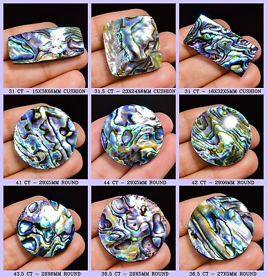 #ad #ad Natural Abalone Shell Gemstone Loose Cabochon From New Zealand $6.99