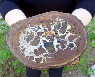 #ad 3.84 LB FINE LARGE 7 1 2 INCH SEPTARIAN NODULE WITH ARAGONITE PATTERN Morocco $70.30