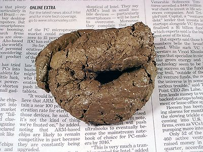 #ad Fake Dog Poop Crap Caca Boo Boo Dirt Pile Poo Real Lifelike Silly Gag Prank Joke $9.95