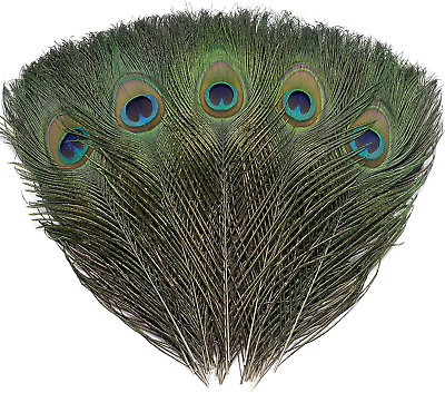 #ad 12 PCS Real Natural Peacock Eye Feathers 10 12 Inch for DIY Craft Wedding and H $7.53