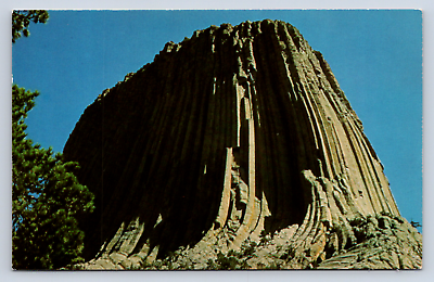 #ad Vintage Postcard Devils Tower National Monument Wyoming $4.00