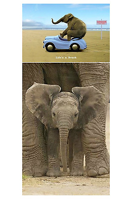 #ad Big Ears Life’s a Beach 2 Individual Posters Elephants cute kids room dorm New $17.99
