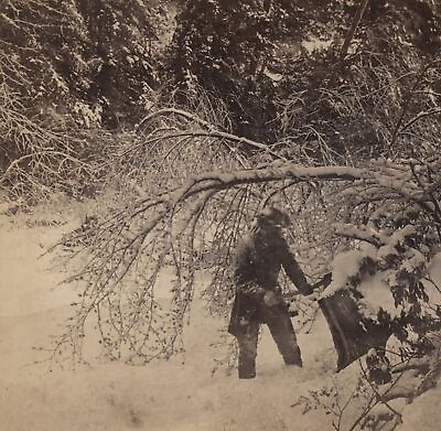 #ad Man with an Axe Winter in the Catskills NY Eamp;HT Anthony Stereoview c1870 $26.00