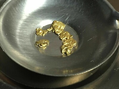 #ad Gold Nuggets by the Quarter Gram Alaskan Natural Placer Gold Free US Shipping $36.99