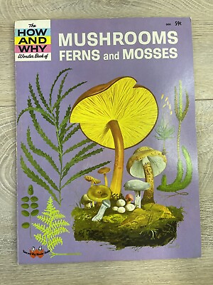#ad Vtg 1965 How Why Wonder Book MUSHROOMS FERNS MOSSES MCM Art Psychedelic Hippie $17.95
