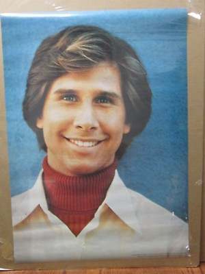 #ad Vintage 1977 poster The Hardy boys Cassidy Parker Stevenson in#G3080 $39.97