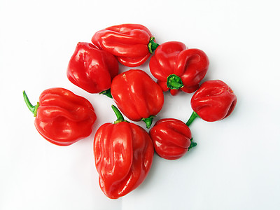 #ad 25 CARRIBEAN RED HABANERO PEPPER SEEDS heirloomseedguy 2024 NON GMO $1.67
