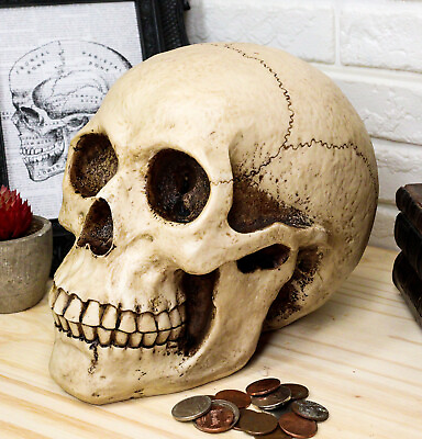 Ebros Gift Large Bone Cream Homosapien Skull Money Bank Figurine $28.99