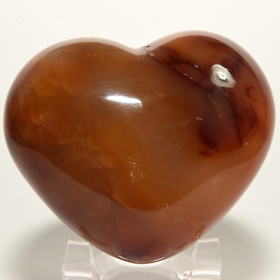 #ad 2.8quot; Orange Red Carnelian Agate Puffy Heart Natural Veins Crystal Madagascar $23.96