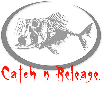 #ad Bass Fishing t shirtCatch n Releaselargemouth Bassbaitcasterreelspinning $12.34
