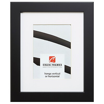 #ad Craig Frames Bauhaus Modern Satin Black Picture Frame With a Single White Mat $65.99