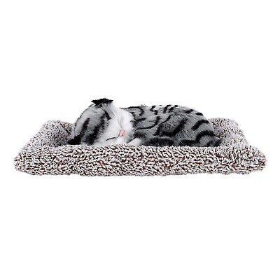 #ad #ad Sleeping Cat for Car Dashboard Home Decor with Activated Carbon Grey Gift ideas $31.90