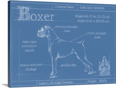 #ad Blueprint Boxer Canvas Wall Art Print Dog Home Decor $109.99