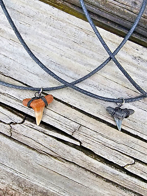 #ad REAL FLORIDA SHARK TOOTH NECKLACE GIFT FOSSIL JEWELRY UNIQUE BLACK $24.99