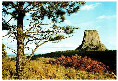#ad Devils Tower National Monument Northern Black Hills SD Postcard VTG Free Ship $5.46