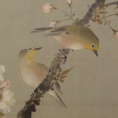 #ad Cherry Blossoms with Birds by Oda Kaisen 小田海僊 Print #1004 $5.00