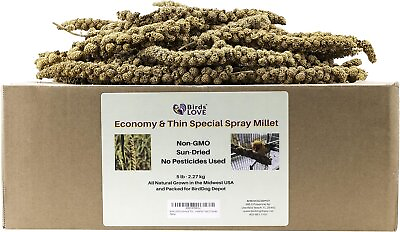 #ad Birds LOVE Economy amp; Thin Special Spray Millet Natural Bird Treat GMO Free 5lb $52.99