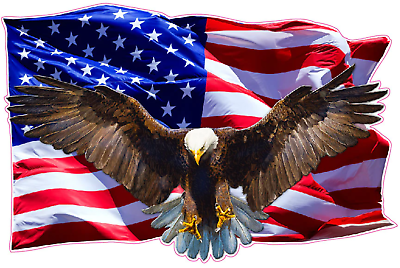 #ad Soaring Bald Eagle American Flag Wall Decor $39.95