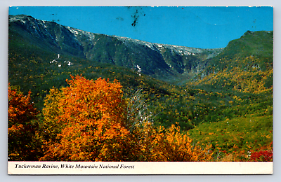 #ad Vintage Postcard Tuckerman Ravine White Mountain National Forest $4.00