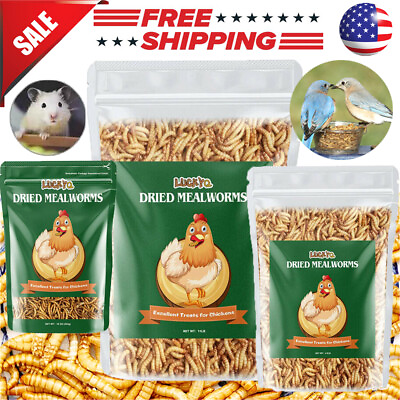 #ad Bulk Dried Mealworms for Chickens Wild Birds Feed Bluebirds Hamster Hen Treats $186.99