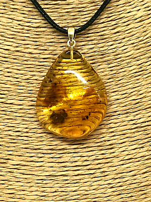 #ad Baltic AMBER Pendant Insect Gift Fossil Unique Stone Silver 925 Gold PL 6g 16878 $63.64
