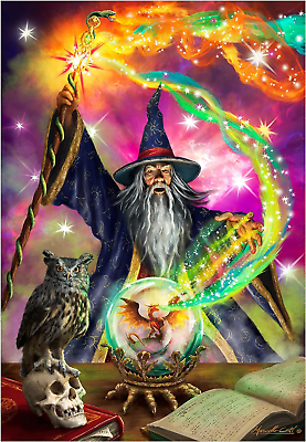 #ad 5D Colorful Wizard Diamond Painting Kit for Adults 12 x 16 $20.11