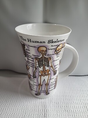 #ad DUNOON THE HUMAN BODY Bone China GLENCOE Mug $40.00