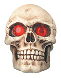 #ad Ruby eye Human head skull shifter knob shift lever Car Truck Race $13.99
