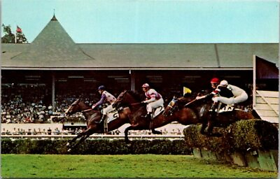 #ad Field of Jumpers grandstand Saratoga Race park postcard $2.88